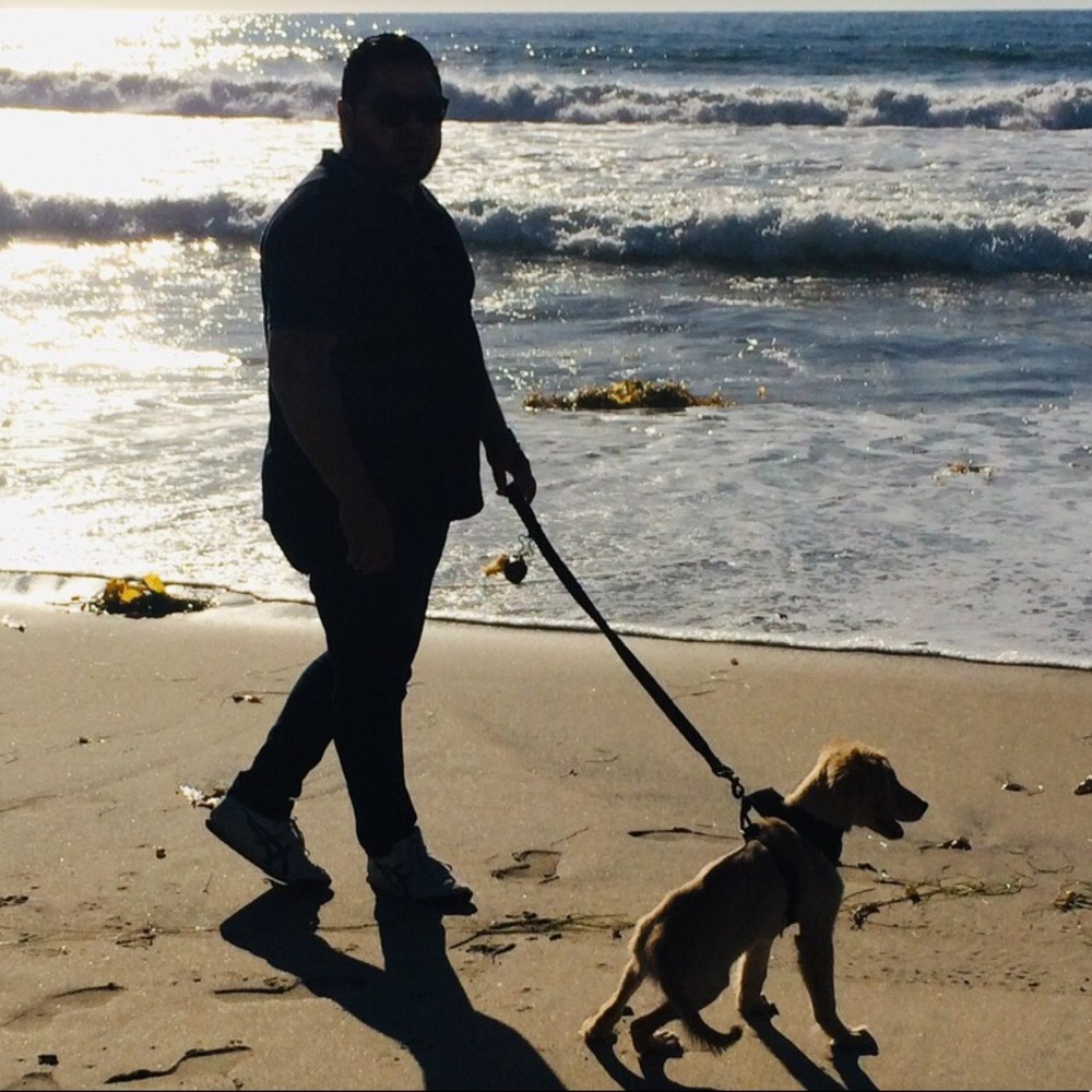 Meet your Posher, Alan